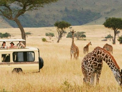 Lake Manyara National Park (1)
