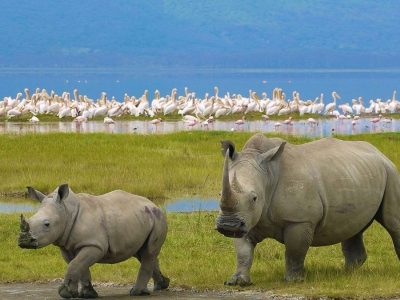 Lake Nakuru National Park (1)